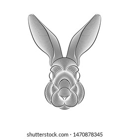 Engraving of stylized rabbit portrait on white background. Line art. Stencil art