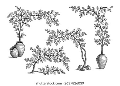 Engraving Vector of Decorative Trees and Branches in Pots Illustration Set