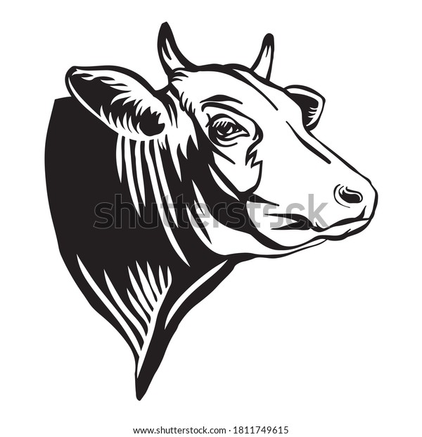 Engraving Vector Illustration Bull Head Icon Stock Vector (Royalty Free ...