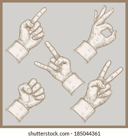 engraving vector illustration of five hands isolated on background