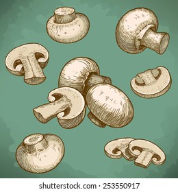 engraving vector illustration of mushrooms champignons in retro style