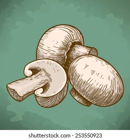 ilustración vectorial grabada de paladines de champiñones de árboles en estilo retro