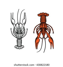  engraving. Vector vintage drawing of a lobster. Black and white and color .Menu , poster or label for the bar and beer.