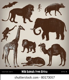 Engraving vintage African animal set from "The Complete encyclopedia of illustrations" containing the illustrations of The iconographic encyclopedia of science, literature and art, 1851. Vector.