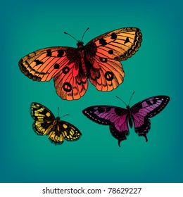 Engraving vintage butterfly set from atlas published in 1851 (The iconographic encyclopedia of science, literature and art). Vector image.