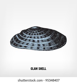 Engraving vintage Clam shell from "The Complete encyclopedia of illustrations" containing the original illustrations of The iconographic encyclopedia of science, literature and art, 1851. Vector.