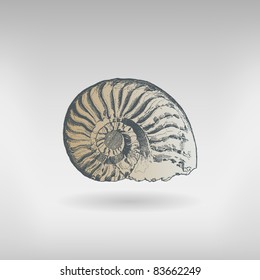 Engraving vintage fossil ammonite from "The Complete encyclopedia of illustrations" containing the illustrations of The iconographic encyclopedia of science, literature and art, 1851. Vector.