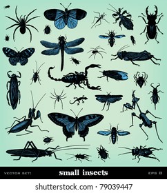 Engraving vintage insect set from "The Complete encyclopedia of illustrations" containing the original illustrations of The iconographic encyclopedia of science, literature and art, 1851. Vector.