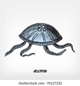 Engraving vintage Jellyfish from "The Complete encyclopedia of illustrations" containing the original illustrations of The iconographic encyclopedia of science, literature and art, 1851. Vector.