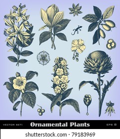 Engraving vintage plant set from "The Complete encyclopedia of illustrations" containing the original illustrations of The iconographic encyclopedia of science, literature and art, 1851. Vector.