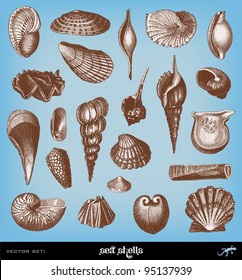 Engraving vintage Shells set from "The Complete encyclopedia of illustrations" containing the original illustrations of The iconographic encyclopedia of science, literature and art, 1851. Vector.