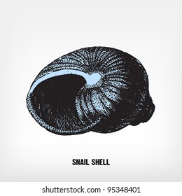 Engraving vintage Snail shell from "The Complete encyclopedia of illustrations" containing the original illustrations of The iconographic encyclopedia of science, literature and art, 1851. Vector.
