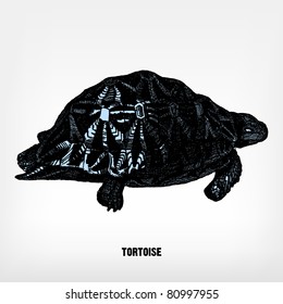 Engraving vintage turtle from "The Complete encyclopedia of illustrations" containing the original illustrations of The iconographic encyclopedia of science, literature and art, 1851. Vector.