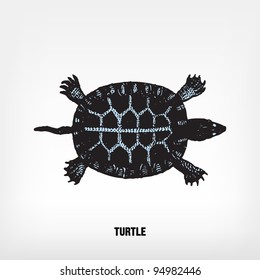 Engraving vintage turtle from "The Complete encyclopedia of illustrations" containing the original illustrations of The iconographic encyclopedia of science, literature and art, 1851. Vector.