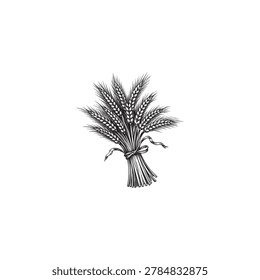 Engraving of a Wheat Ears Bundle Black and White Vector Illustration.