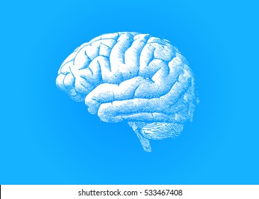 Engraving white brain illustration on blue background
