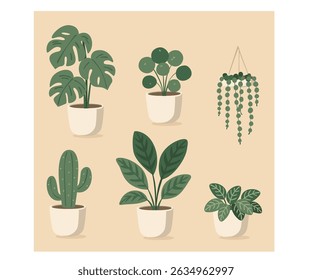Enhance the beauty of your indoor space with a collection of assorted potted plants. Find a variety of indoor plants in pots and beautifully designed clipart to decorate your home or office.