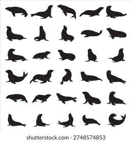 Enhance your creative projects with this premium set of realistic sea lion silhouette vectors. Featuring diverse, high-quality pinniped poses, these scalable designs are perfect for professional graphic design, wildlife branding, educational materials, and coastal-themed digital illustrations and art.