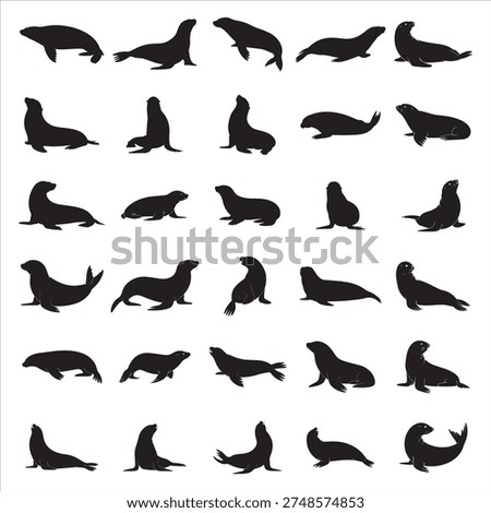 Enhance your creative projects with this premium set of realistic sea lion silhouette vectors. Featuring diverse, high-quality pinniped poses, these scalable designs are perfect for professional graphic design, wildlife branding, educational materials, and coastal-themed digital illustrations and art.