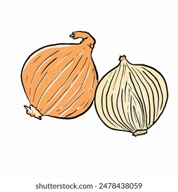 Enhance your design projects with this versatile onion vector illustration, perfect for a multitude of uses. 