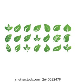 Enhance your design projects with this versatile set of green leaf illustrations, perfect for nature-themed and eco-friendly designs.