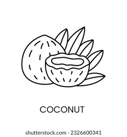 Enhance your designs with the Coconut Icon in Vector Format, a sleek line representation that adds a touch of exoticism and natural beauty.