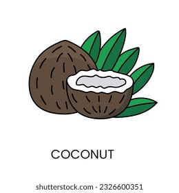 Enhance your designs with the Coconut illustration in Vector Format, a sleek line representation that adds a touch of exoticism and natural beauty.