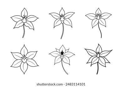 Enhance your designs with our realistic Epicedium flower vector illustration, capturing this exquisite bloom in stunning detail. Perfect for botanical projects, sophisticated floral graphics