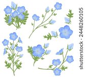 Enhance your designs with these beautiful watercolor baby blue eyes flowers. Capture the essence of spring with this botanical design.