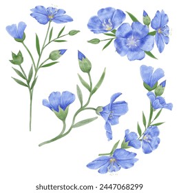 Enhance your designs with these beautiful watercolor flax flowers. Capture the essence of spring with this botanical design.