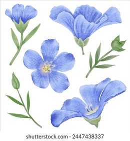 Enhance your designs with these beautiful watercolor flax flowers. Capture the essence of spring with this botanical design.