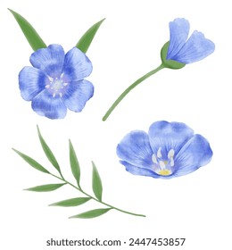 Enhance your designs with these beautiful watercolor flax flowers. Capture the essence of spring with this botanical design.