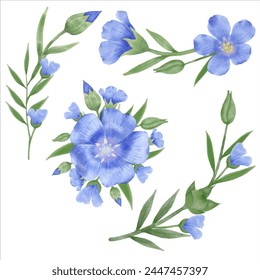 Enhance your designs with these beautiful watercolor flax flowers. Capture the essence of spring with this botanical design.