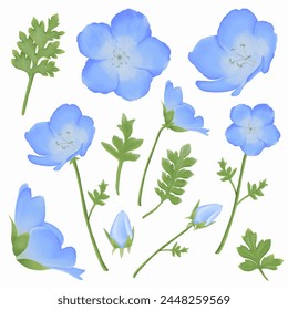 Enhance your designs with these beautiful watercolor baby blue eyes flowers. Capture the essence of spring with this botanical design.