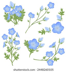 Enhance your designs with these beautiful watercolor baby blue eyes flowers. Capture the essence of spring with this botanical design.