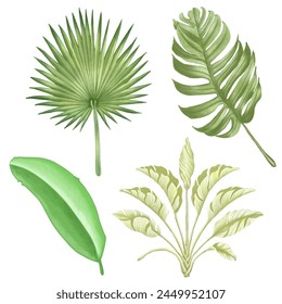 Enhance your designs with these beautiful watercolor leaves. Download botanical clipart for creative projects.