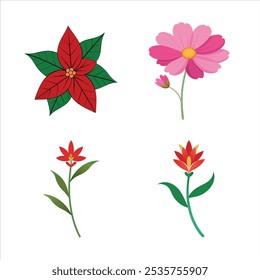Enhance your designs with this vibrant floral set featuring poinsettia, kangaroo paw, and pink cosmos illustrations. Ideal for holiday decor, botanical art, and nature-inspired projects.