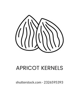 Enhance your designs with the visually appealing Apricot Kernels line vector Icon. A representation that captures the essence and allure of these nutritious seeds.