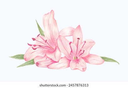 Enhance your floral projects with this hand-drawn, blooming flower illustration. Download for a touch of spring!