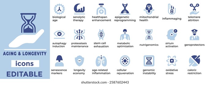 Enhance your projects with Aging Longevity vector icons perfect for healthcare, wellness, and senior lifestyle designs.