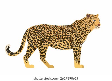 Enhance your projects with the beauty of leopard vectors.