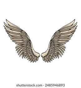 
Enhanced angel wings details for graphic resources. Vector eps 10