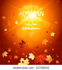 Enjoy the autumn with beautiful autumn leaves on bright background