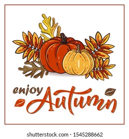 Enjoy Autumn hand drawn lettering text with autumn leaves and pumpkins. Rowan and oak leaves with gourds. Fall season elements for thanksgiving. For cards, poster, banner. Vector design