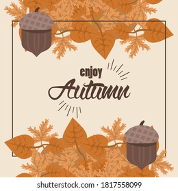 enjoy autumn lettering with leafs and nuts square frame vector illustration design