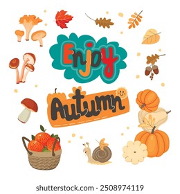 Enjoy Autumn poster with edible  mushrooms,fall leaves,pumpkins,acorn,cute snail, handwritten, basket of apples.Autumnal cartoon card with forest and farm harvest.Vector design set  isolated on white.