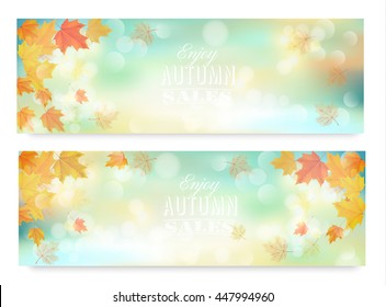 Enjoy autumn sales banners with colorful leaves. Vector.