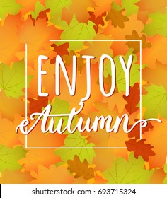 Enjoy autumn. Vector frame with phrase on autumn leaves background