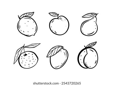 Enjoy six beautifully handdrawn fruit illustrations that are perfect for a variety of design and media applications