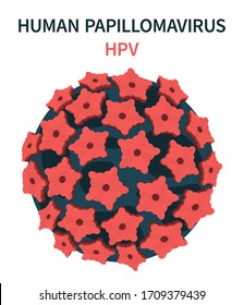 Enlarged image of the human papillomavirus (HPV). Cell structure. Vector illustration.